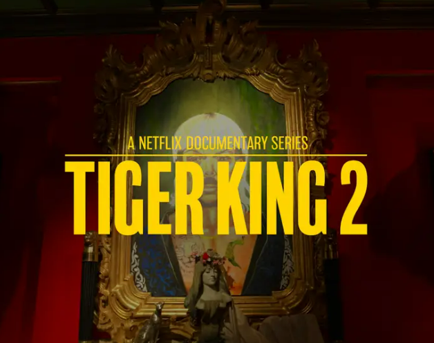 Netflix Promos